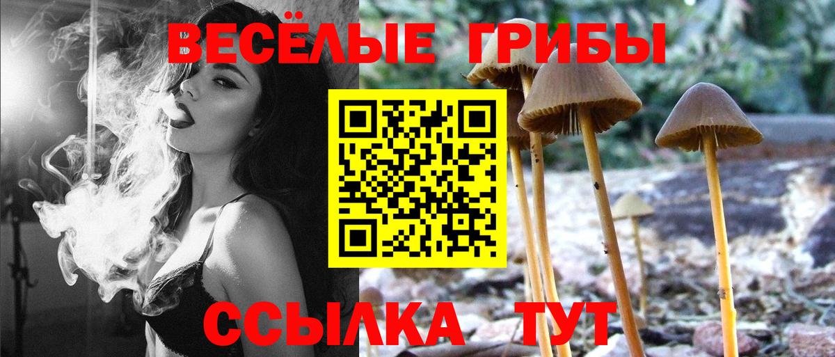 МЕТАДОН Юрга